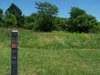 Poplar Creek Trail grass paths